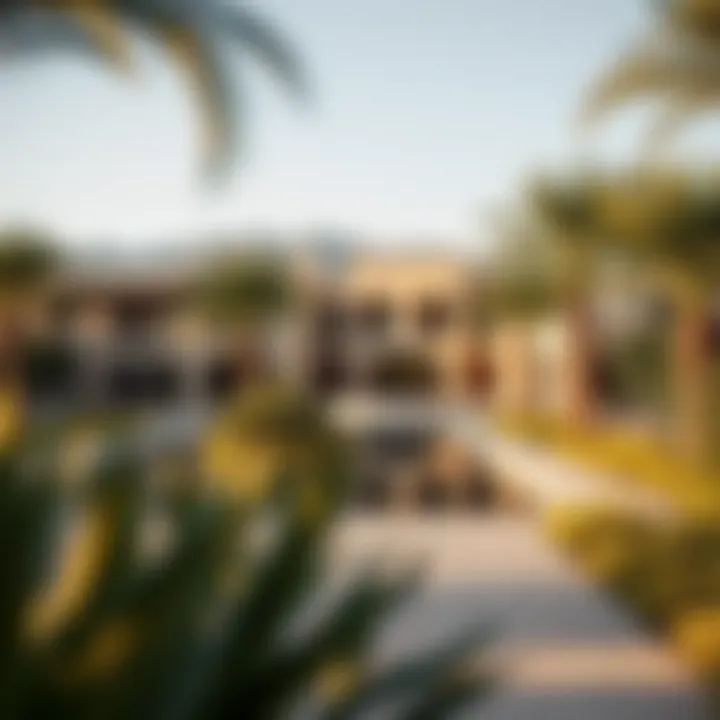 Magnificent Exploring Palmilla Parkside: A Detailed Perspective Magnificent Exploring Palmilla Parkside: A Detailed Perspective
