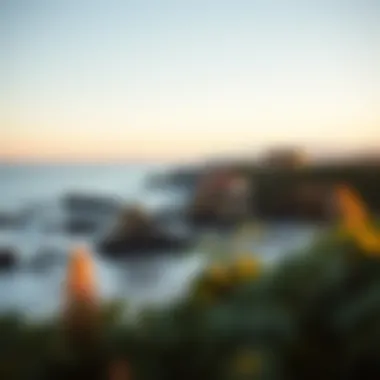 Magnificent Exploring the Beach Barber Tract: An Insight into a Coastal Gem Magnificent Exploring the Beach Barber Tract: An Insight into a Coastal Gem