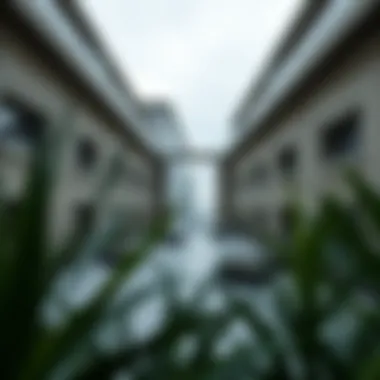 Magnificent Exploring the Four Freedoms Apartments: A Unique Living Experience