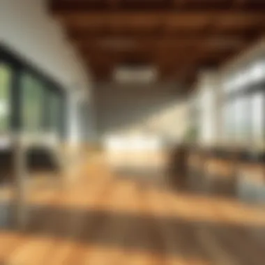 Magnificent Optimal Approaches for Cleaning Laminate Flooring Magnificent Optimal Approaches for Cleaning Laminate Flooring