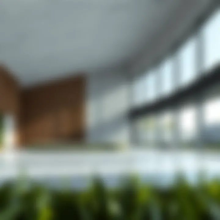 Magnificent Understanding Housekeeping Cleaning Materials: An In-Depth Exploration
