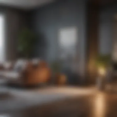 Luxury Amenities in One Bedroom Apartments Amenities in a luxurious one bedroom apartment