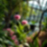 Lush garden scenery at the Atlanta Botanical Garden