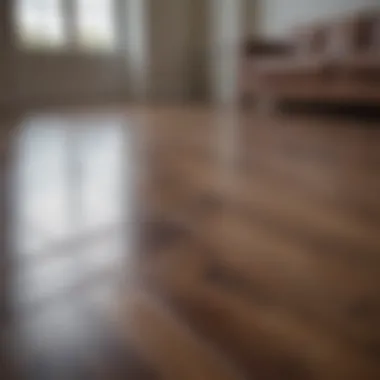 A beautiful clean laminate floor reflecting light from a window