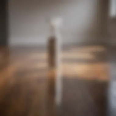 An eco-friendly DIY laminate floor cleaning solution in a spray bottle