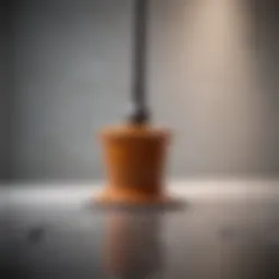 Unique plunger designs for unconventional toilets