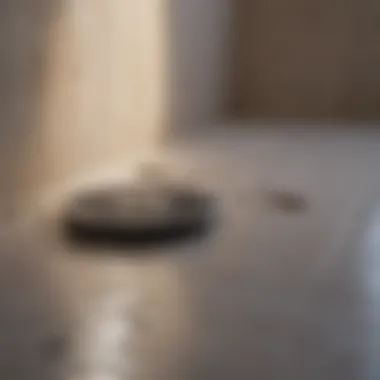 Transformation of a Shower Drain Before and after comparison of a shower drain cleaning