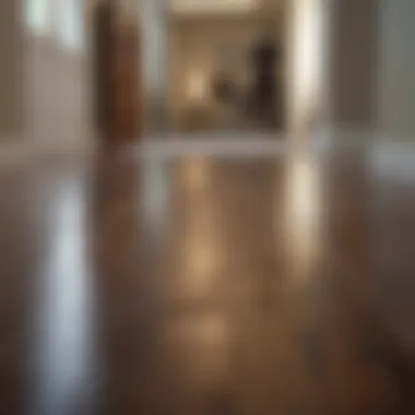 Transformative Cleaning Results Before and after of laminate floor cleaning