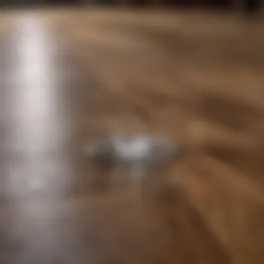 Close-up of mineral spirits being applied on hardwood floor