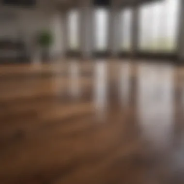 Comparison of untreated and treated hardwood floors with mineral spirits