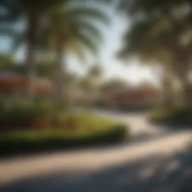 Recreational Opportunities in Miami Suburbs A scenic park in a Miami suburb, showcasing recreational opportunities for families.