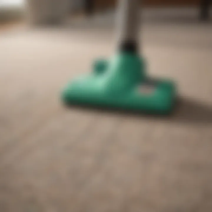 Eco-friendly carpet cleaning supplies arranged neatly
