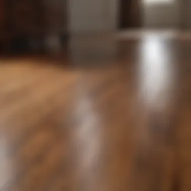 Elegant hardwood floor after cleaning