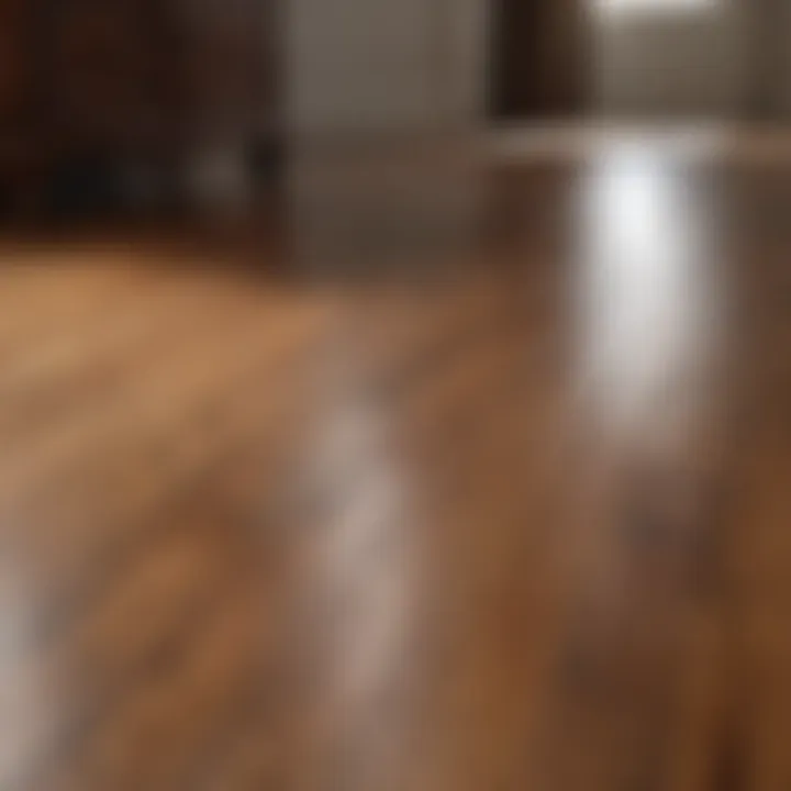Elegant hardwood floor after cleaning