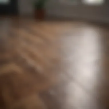The Beauty of Clean Laminate Floors Sparkling clean laminate flooring showcasing its shine