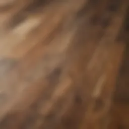 Variety of wood floor types