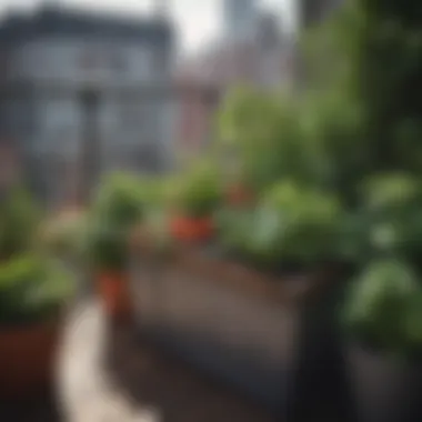 Well-organized container garden on a balcony featuring a variety of vegetables