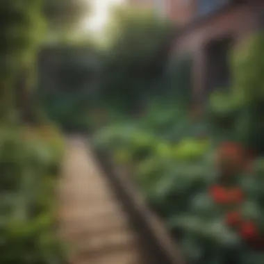 Vibrant Urban Vegetable Garden Lush greenery in a compact urban garden showcasing diverse vegetable plants