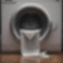 Dryer lint trap illustration