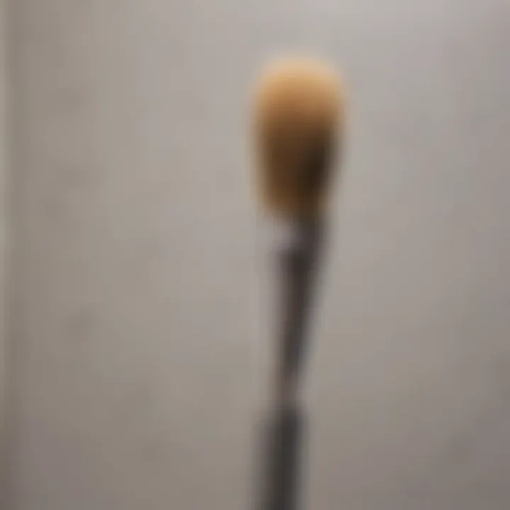 Dryer Vent Brush