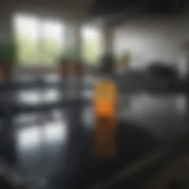 Eco-Friendly Cleaning Solution Eco-Friendly Black Cooktop Cleaner