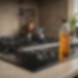 Eco-friendly cleaning solution bottle on stove top