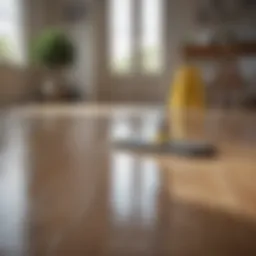 Eco-friendly cleaning solution for laminate floors