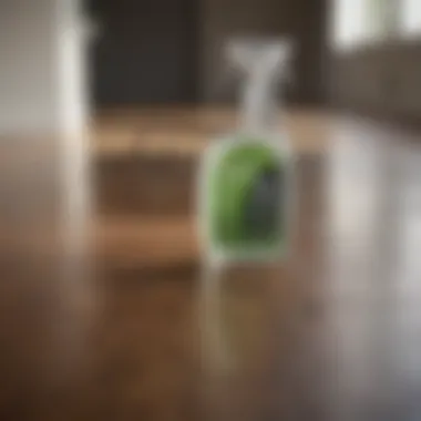 Eco-friendly floor cleaning spray bottle