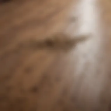 Dust accumulation on wooden floorboards