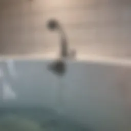 Clogged bathtub drain with standing water