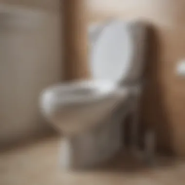A toilet auger demonstrating its utility for deeper clogs