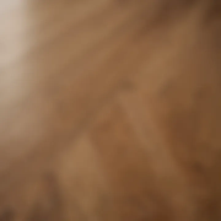 Close-up of oak wood grain texture showcasing its beauty