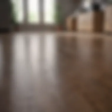 Eco-friendly Cleaning Products Eco-friendly cleaning products for laminate wood floors