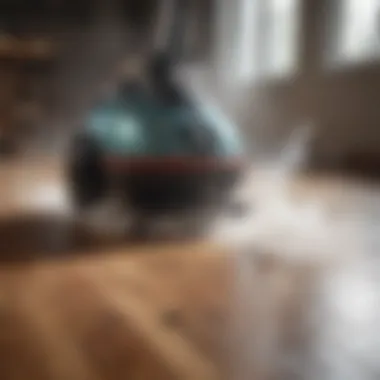 Steam Power for Professional Floor Cleaning Professional steam cleaner for thorough wood laminate floor cleaning