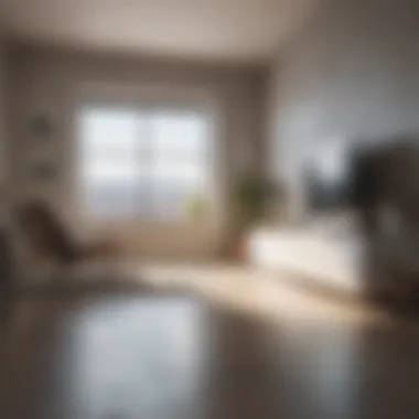Simplicity in Space Minimalist Room Organization