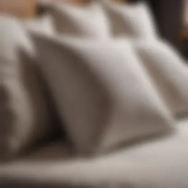 Essential Cleaning Supplies for Pillows Cleaning supplies for maintaining throw pillows