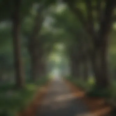 Enchanted pathways lined with ancient trees at West Laurel Hill Pet Cemetery