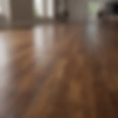 Transformation Through Care Before and after cleaning comparison of laminate flooring