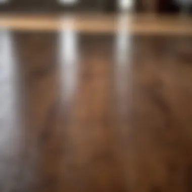 Nature’s Touch for Floor Care Natural cleaning solution for laminate wood floors