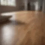 Shining laminate wood floor after cleaning