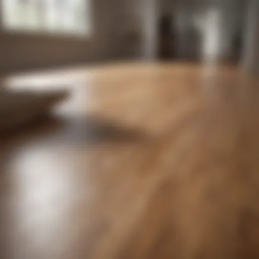 Shining laminate wood floor after cleaning