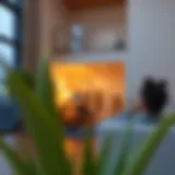 Exploring Apartment Selector Options in Phoenix Introduction