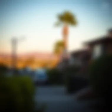 Beautiful neighborhood view in San Diego