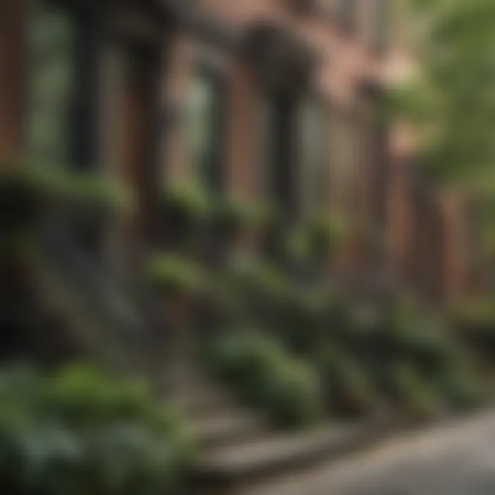 Historic brownstone street lined with lush greenery and charming stoops