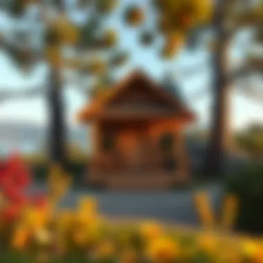 Exploring Cabins for Rent in the Bay Area Introduction Exploring Cabins for Rent in the Bay Area Introduction