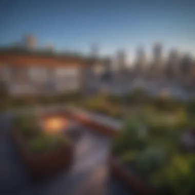 Urban Oasis Rooftop Garden Lush rooftop garden overlooking the city skyline in a co-living space