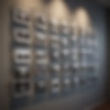 Artistic display of photos using wire and clips for a modern touch