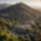 Scenic view of Mt. Helix neighborhood showcasing lush greenery and hillside homes