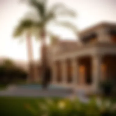 Exploring Palmilla Parkside: A Detailed Perspective Introduction Exploring Palmilla Parkside: A Detailed Perspective Introduction