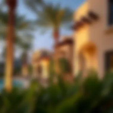Notable Exploring Palmilla Parkside: A Detailed Perspective Notable Exploring Palmilla Parkside: A Detailed Perspective
